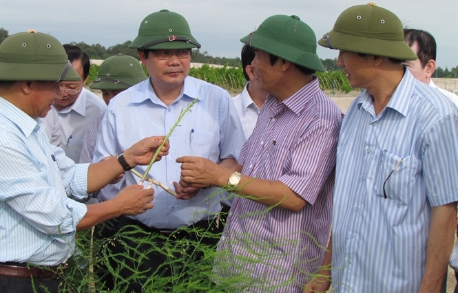 បូកសរុប២ឆ្នាំរៀបចំឡើងវិញផ្នែកកសិកម្ម